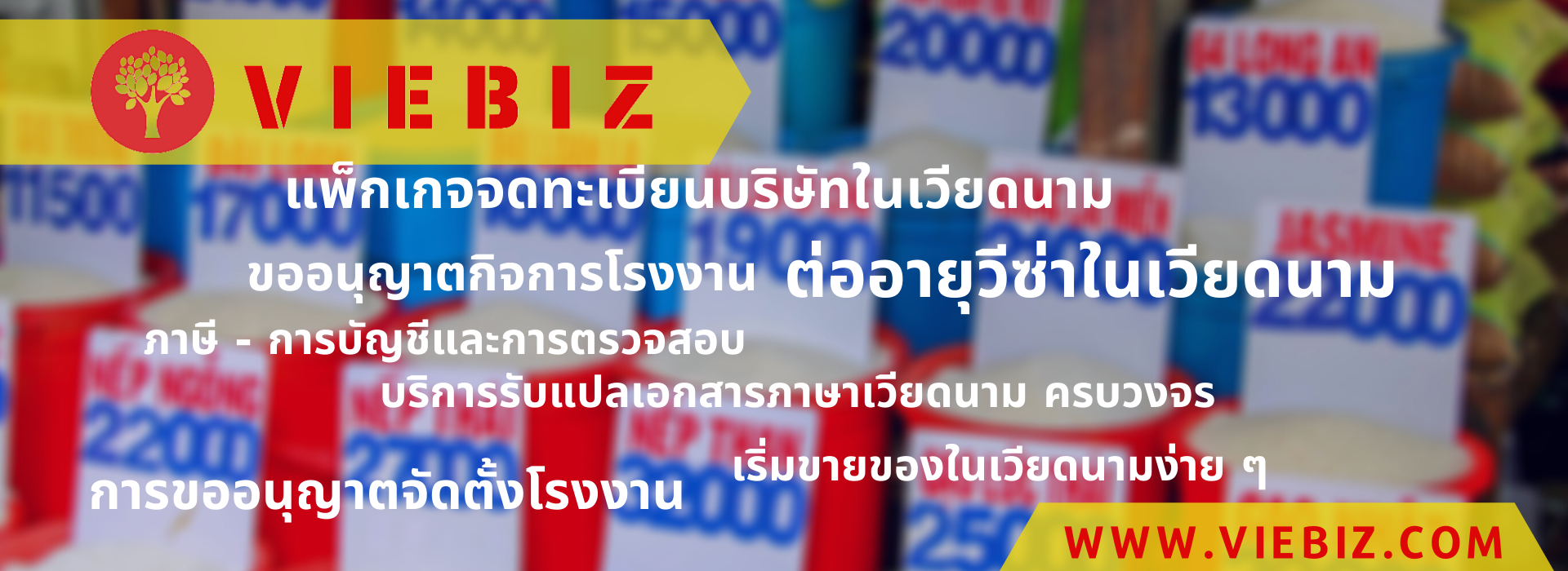 slide web viebiz (1)