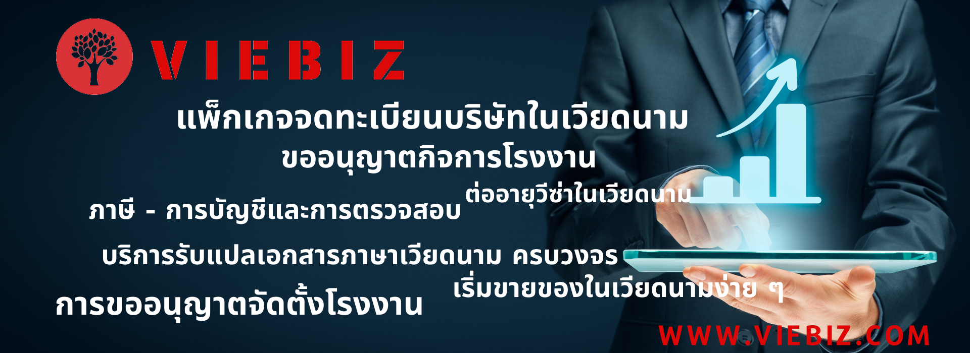 slide web viebiz